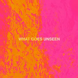 What Goes Unseen