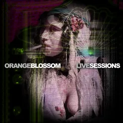 Pitcha - Jerusalem Blossom Live Sessions