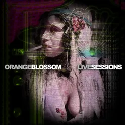 Maldito Blossom Live Sessions