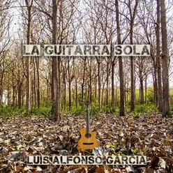 La Guitarra Sola