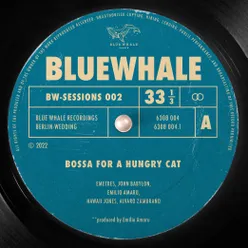 Bossa for a hungry cat