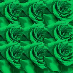 GREEN ROSES FREESTYLE