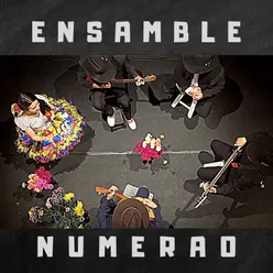 Ensamble Numerao