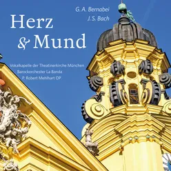 Herz und Mund und Tat und Leben, BWV 147: Recitativo (Alto): Der höchsten Allmacht Wunderhand