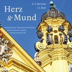 Herz und Mund und Tat und Leben, BWV 147: Aria (Basso): Ich will von Jesu Wundern singen