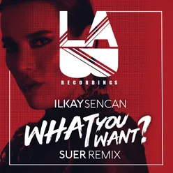 What You Want-Suer Remix