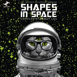 Shapes in Space