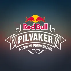 Red Bull Pilvaker 2021