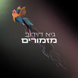 חופשי ומאושר