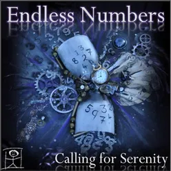 Endless Numbers