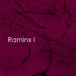 Raminx Vol. 1
