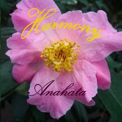 Gayatri Mantra