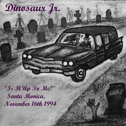 "Is It Up To Me?" - Santa Monica, November 16th 1994