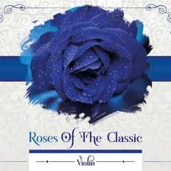 Roses of the Classic Violin