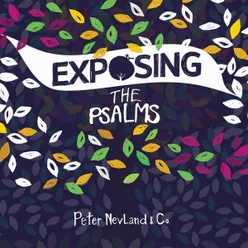 Running out of Excuses - Psalm 51