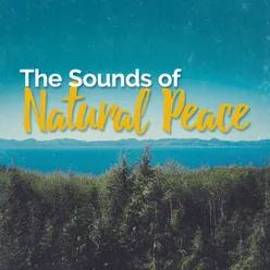 The Sounds of Natural Peace