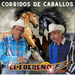 CABALLO PATAS BLANCAS