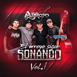 El Arroyo Sigue Sonando Vol. 1