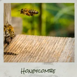 Honeycombe