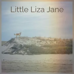 Little Liza Jane