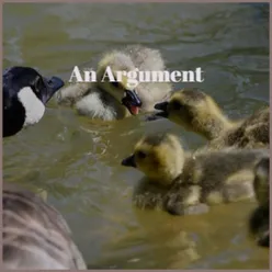 An Argument