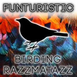 Birding Razzmatazz