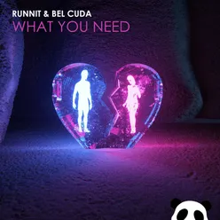 What You Need (feat. Bel Cuda)