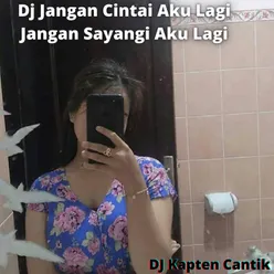 Dj Jangan Cintai Aku Lagi Jangan Sayangi Aku Lagi