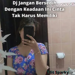 Dj Jangan Bersedih Dengan Keadaan Ini Cinta Tak Harus Memiliki