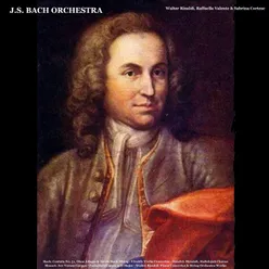 Violin Concerto in a Minor, No. 1, BWV 1041: II. Andante