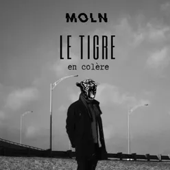 Le tigre en colère