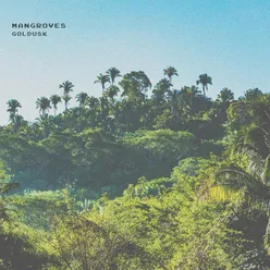 mangroves