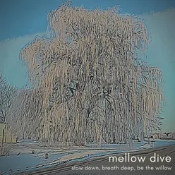 slow down, breath deep, be the willow