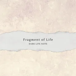 Fragment of Life