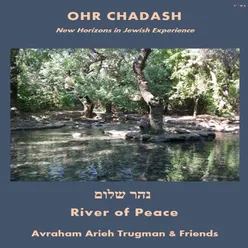 Berditchev Niggun (feat. Shlomo Katz, Sruli Solomon &amp; Yonatan Niv)