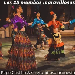 Popurri de Mambos 4: El Ruletero / Mambo No. 8 / Cerezo Rosa / Pachuco Bailarin / Mambo A La Kenton / Mambo Del Politecnico / Mambo De La Universidad