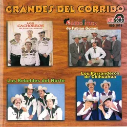 Corrido de Amado Carrillo