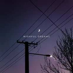 Wishful Dreams