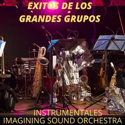 Exitos De Los Grandes Grupos Instrumentales