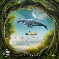 Journey Of Life