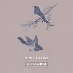 Birds Song