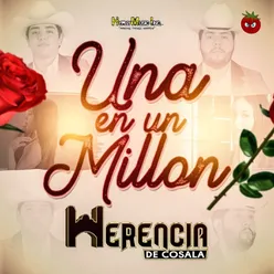 Una En Un Millon (Radio Version)