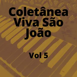 COLETÂNEA VIVA SÃO JOÃO VOL. 05