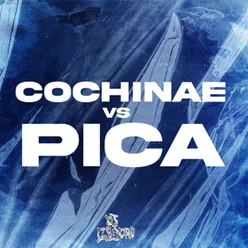 Cochinae VS Pica