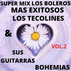 Super Mix Los Boleros Más Exitosos, Vol. 2