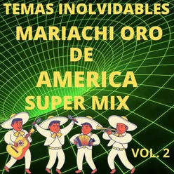 Super Mix Temas Inolvidables, Vol. 2