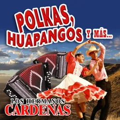 Polkas, Huapangos y Más…