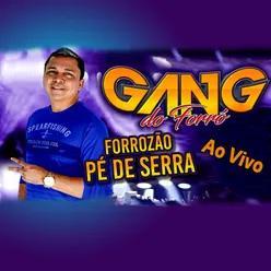 Sanfona Branca - GANG DO FORRÓ