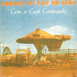 Arraiá do Pau de Sebo