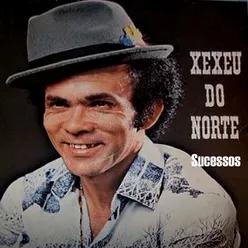 XEXÉU DO NORTE - SUCESSOS